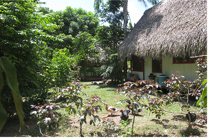 My home, in the amazon for 3 years, from 2012-2015