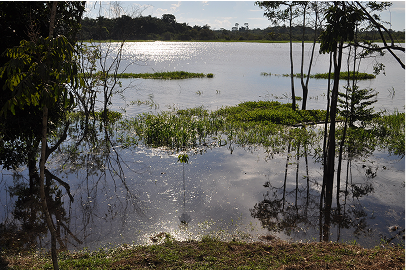Sunset approaches, on the small lake behind Ani -Nii-Shobo. this signifies ' Big Jungle house'.