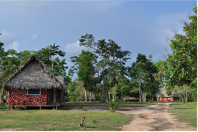 Suipino, the sacred shamanic training ground and where i remained for most of my shamanic apprenticeship during year 1, 2011.