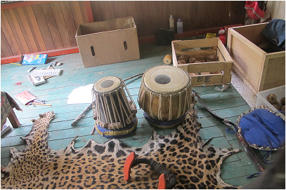 For part of my time during my shaman apprenticeship,I would meditate and play the drums, paint and sit on my leopard skin and create art.