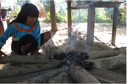 A local Shipiba making a fire, continually moving up the logs to keep the fire embers burning all day for making potions, cooking soup and making asado 'Barbequed meat'.