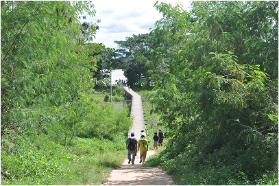 Walking down to the san fransisco jetty, getting ready to go into yarina and source food for the tribe.