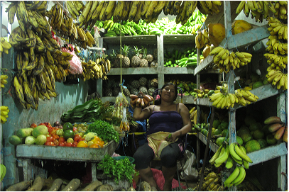 In the local mercado in yarinacocha, a local market vendor selling many different types of Platano, banana that has multiple uses especially in Shamanism.