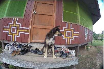 My dog Goku, waiting outside the main maloka in Suipino.when I used to go
