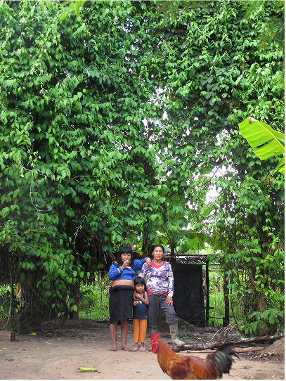 Mama ida, the mother of my late shaman Roger Lopez with a large Ayahuasca vine gorwing behind them. Mama ida had the most esqusite medicinal garden.