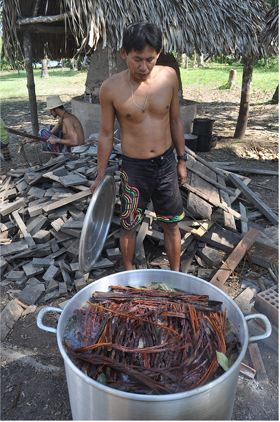 Maestro Tony Lopez, preparing Ayahuasca that will take many hours to prepare on a high heat and then reducing it down into a thick potion.